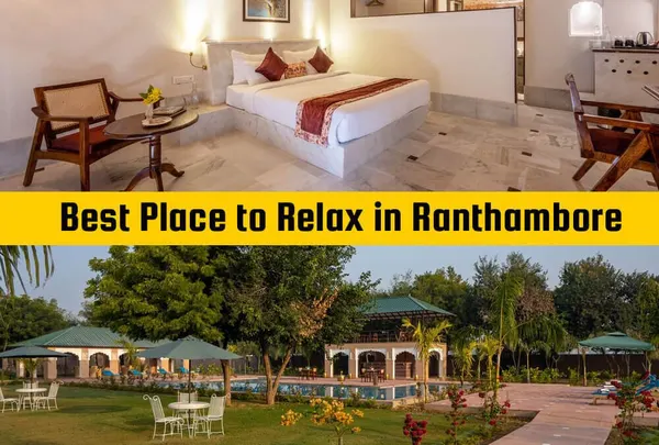 Aangan Resort Ranthambore – The Best Resort in Ranthambore for a Luxury Jungle Stay