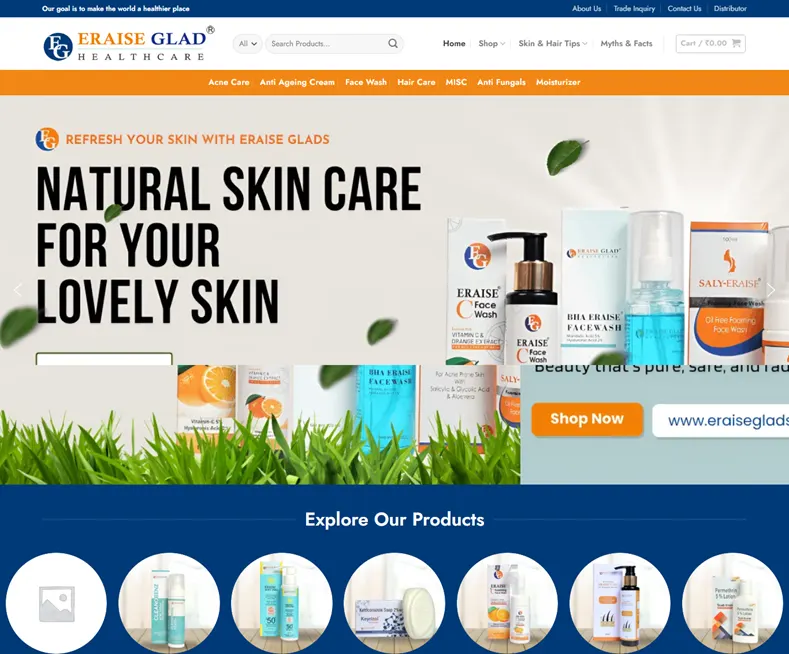 Eraise Glad Healthcare – Healthcare product manufacturers in India website designed by Udaipur Web Developer