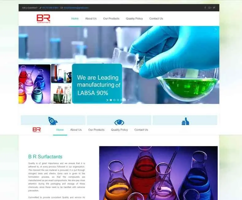 Lab Sulphonate (B R Surfactants) website designed by Udaipur Web Developer