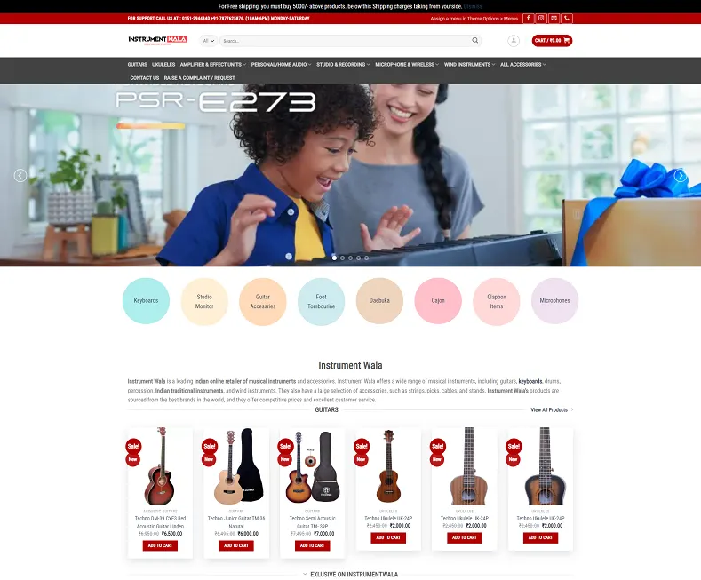 Instrument Wala-Buy Musical Instruments Professional Audio India website designed by Udaipur Web Developer