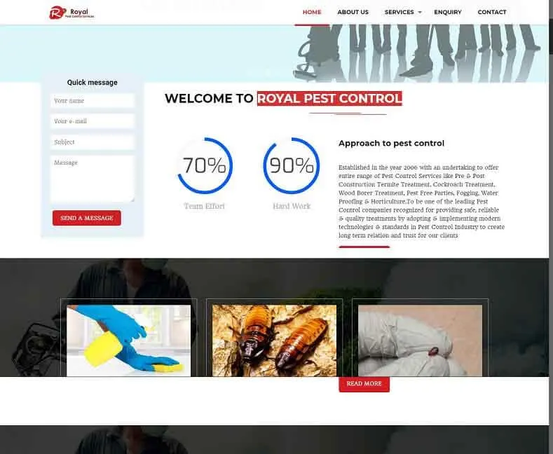Royal Pest Control website designed by Udaipur Web Developer