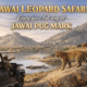 Jawai Leopard Safari
